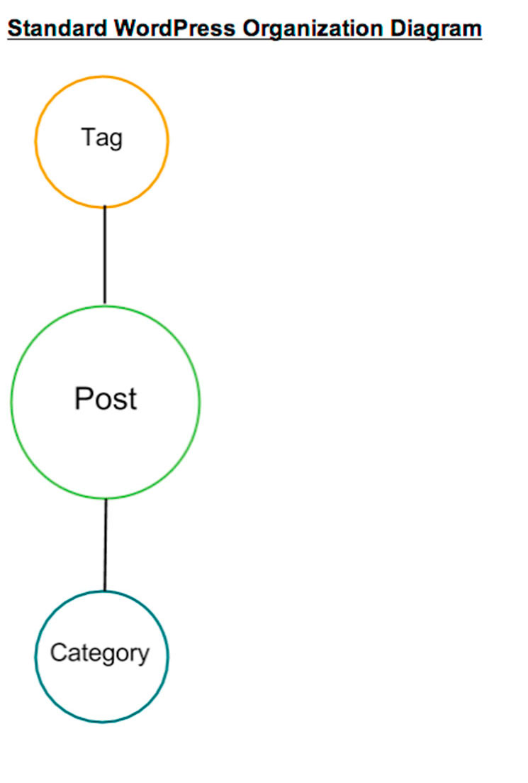 WordPress Categories and Tags